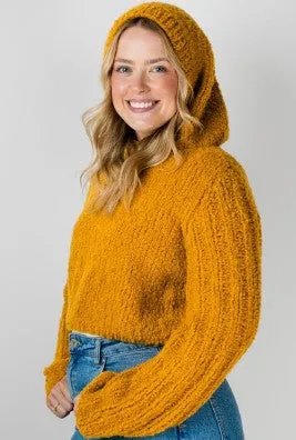 2511 Cloud Hoodie Sweater (e-pattern)